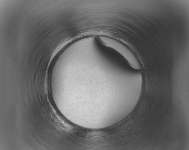 X0000085010894200704021357