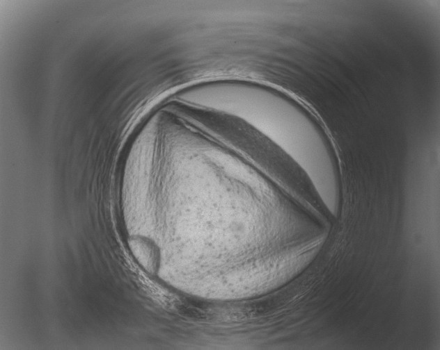 X0000085010895200704021357