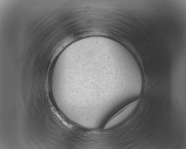 X0000085010898200704021357