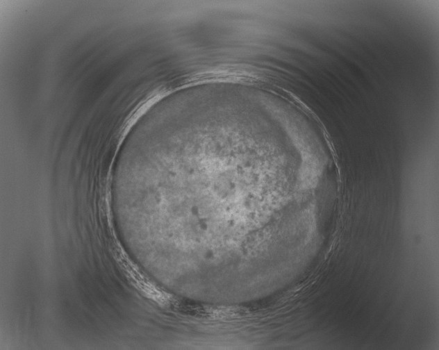 X0000085010899200704021357