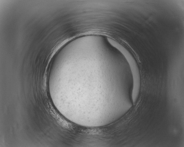 X0000085010900200704021357