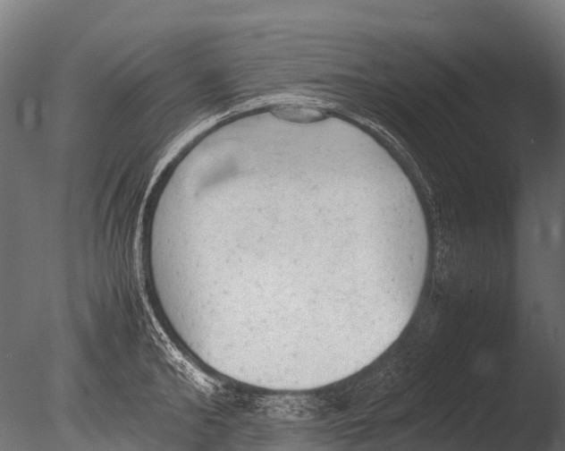 X0000085010902200704021357