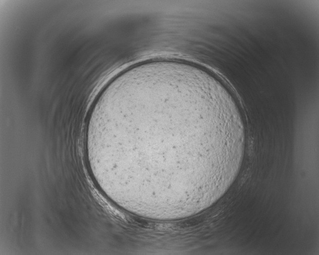 X0000085010903200704021357