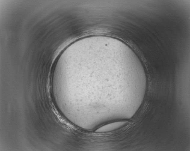 X0000085010904200704021357