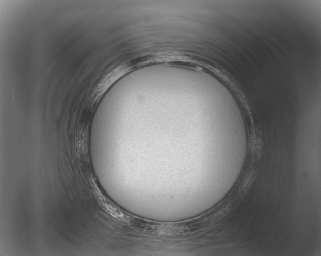 X0000085010905200704021357