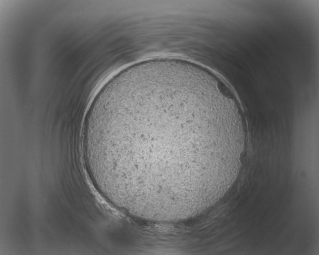 X0000085010911200704021357