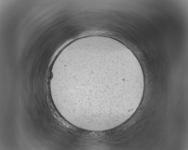 X0000085010912200704021357