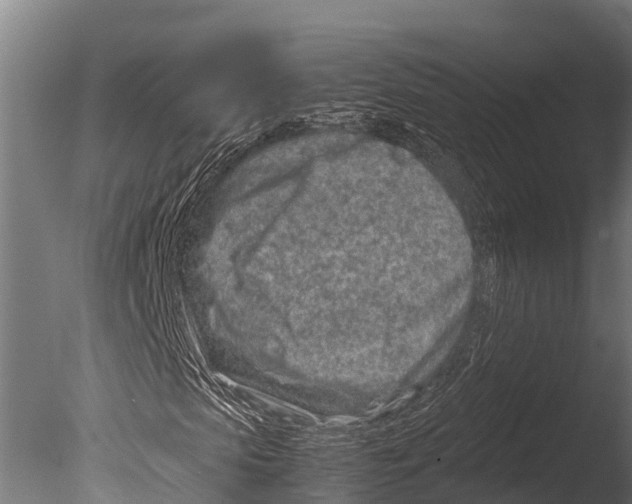 X0000085010913200704021356