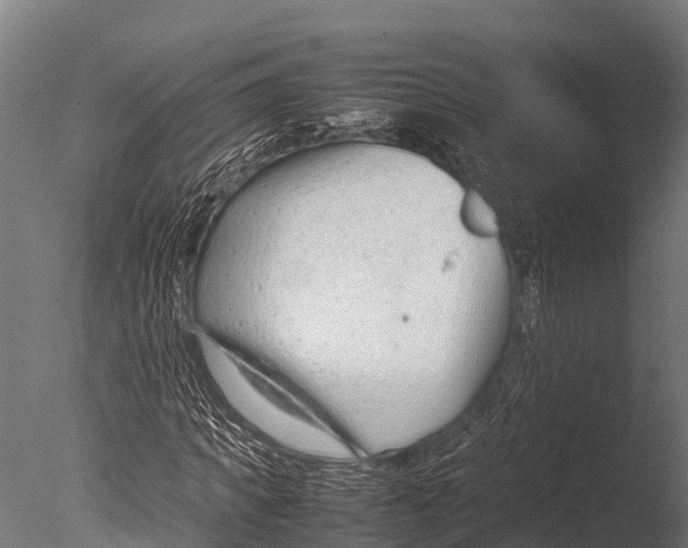 X0000085010917200704021356