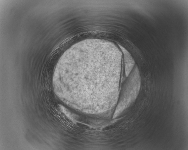 X0000085010919200704021356