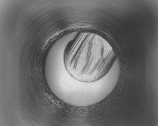 X0000085010920200704021356