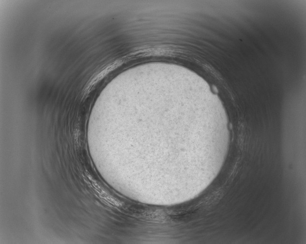 X0000085010922200704021356