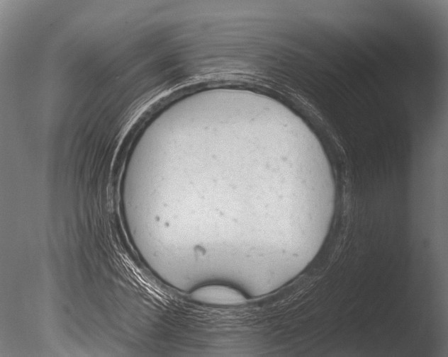 X0000085010924200704021356