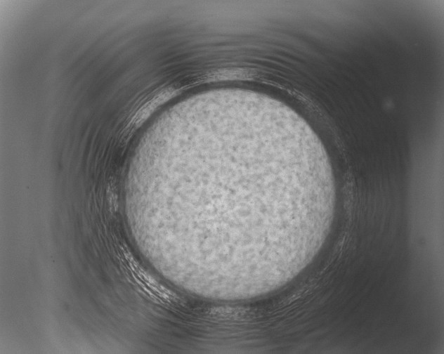 X0000085010929200704021356