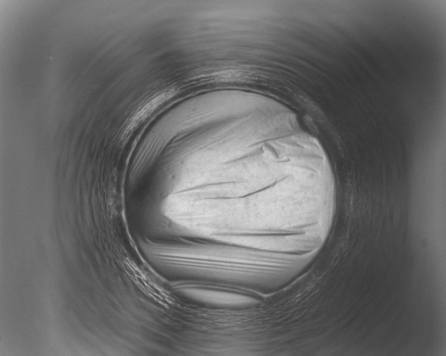 X0000085010930200704021356