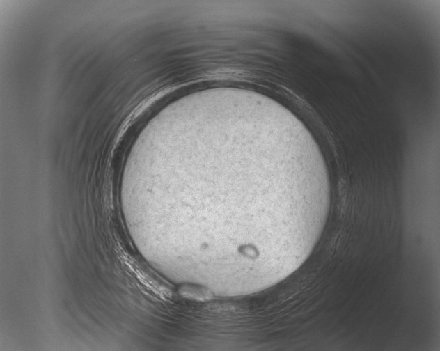 X0000085010931200704021356