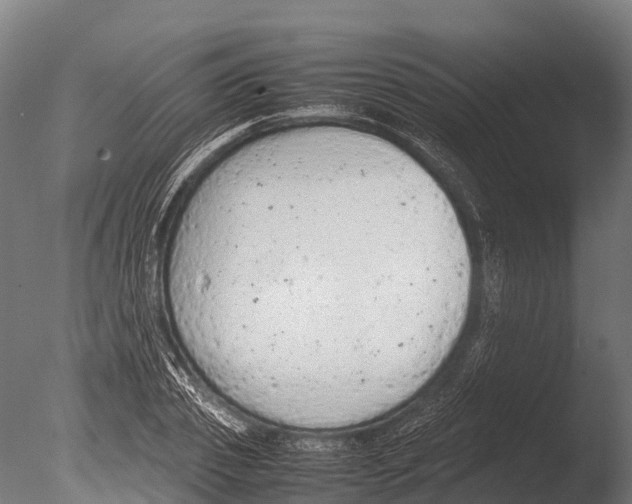 X0000085010933200704021356