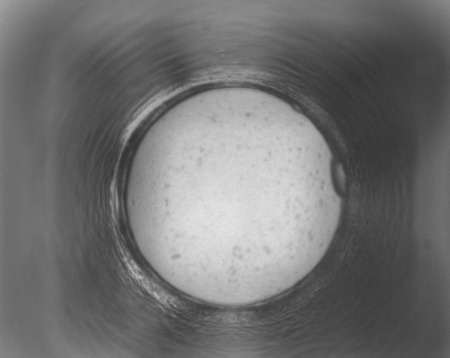 X0000085010936200704021356