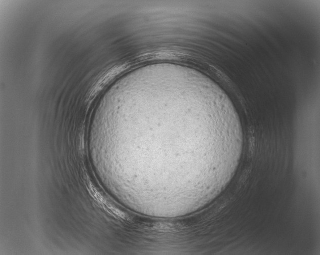 X0000085010938200704021356