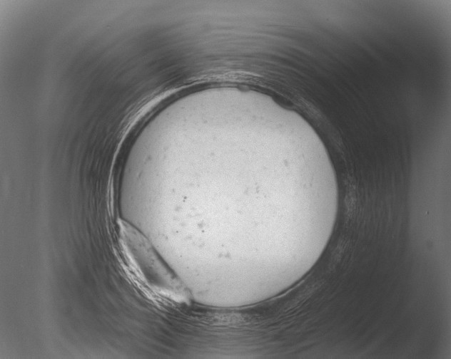 X0000085010940200704021356