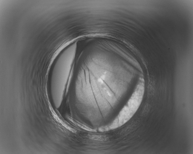 X0000085010941200704021356