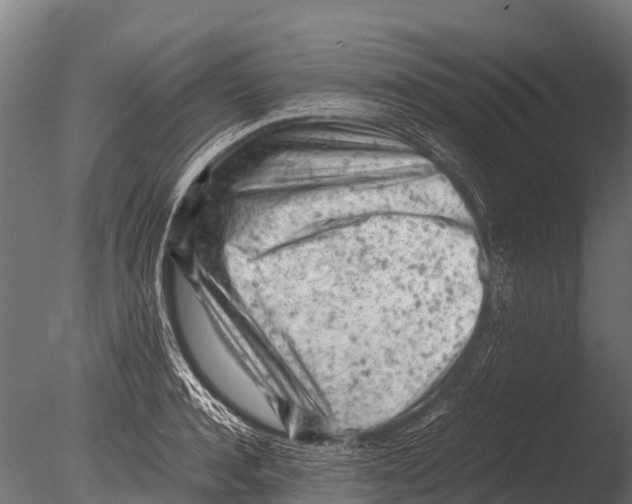 X0000085010944200704021356