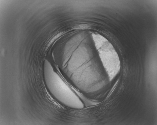 X0000085010945200704021356