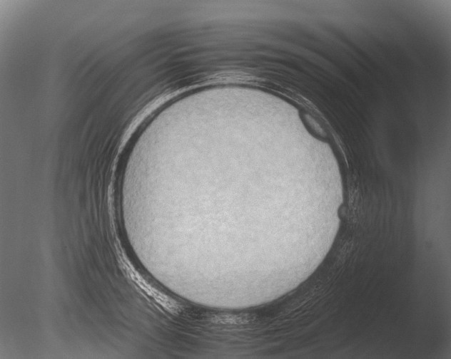 X0000085010947200704021357