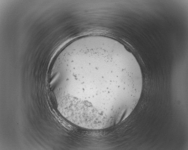 X0000085010948200704021357