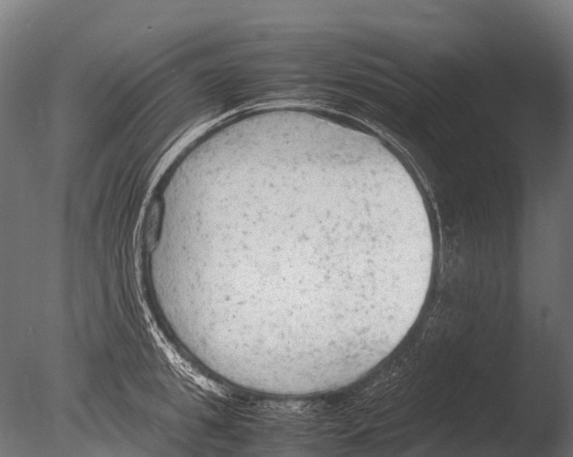 X0000085010949200704021357