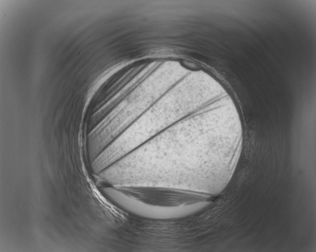 X0000085010951200704021357