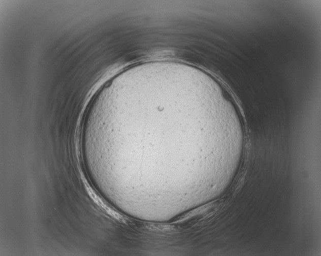 X0000085010957200704021357