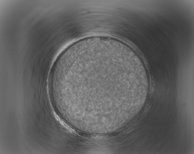 X0000085010958200704021357