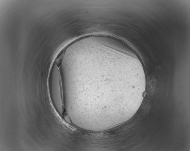 X0000085010959200704021357