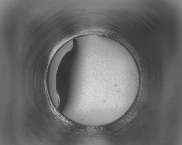 X0000085010960200704021357