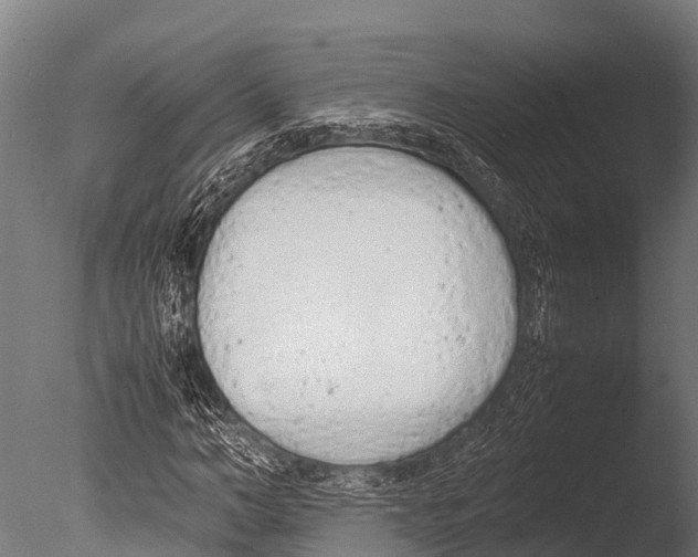 X0000085010966200704021356