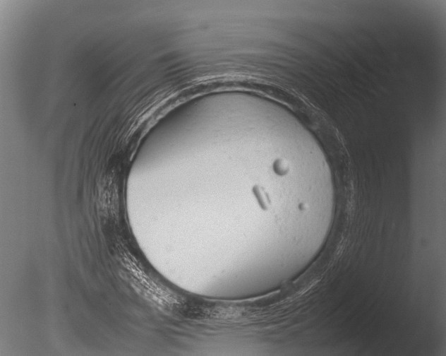 X0000085010969200704021356