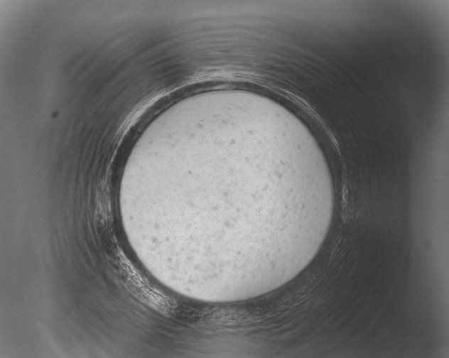 X0000085010972200704021356