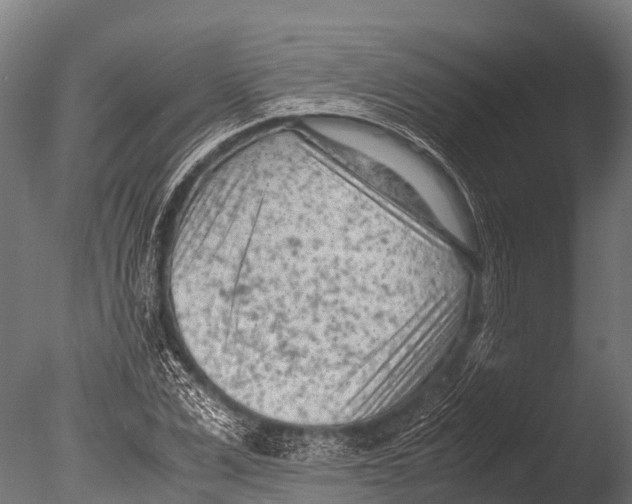 X0000085010975200704021356