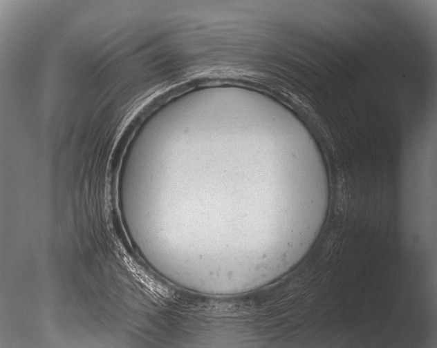 X0000085010976200704021356