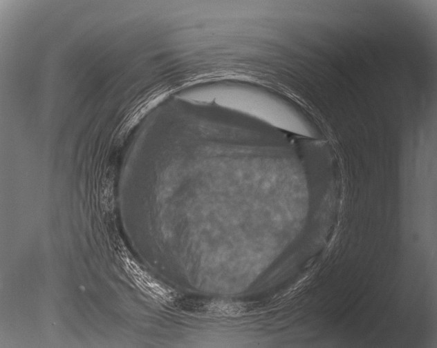 X0000085010977200704021356