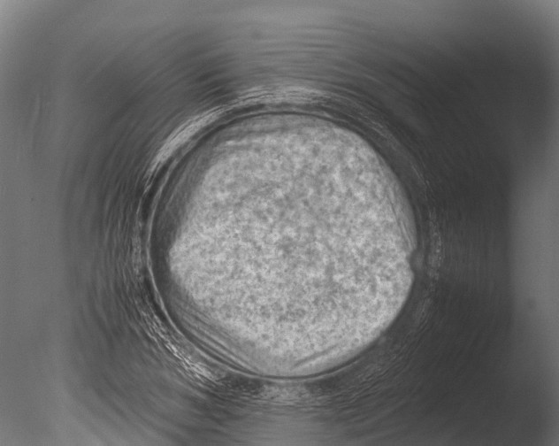 X0000085010978200704021356