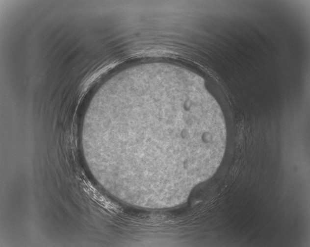 X0000085010979200704021356