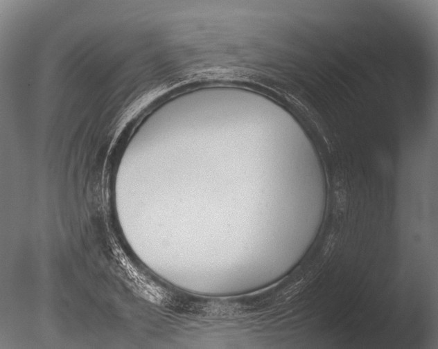 X0000085010981200704021356