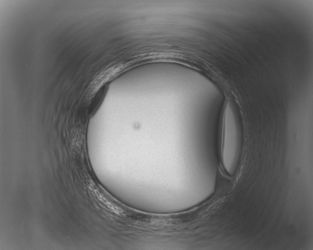 X0000085010985200704021355