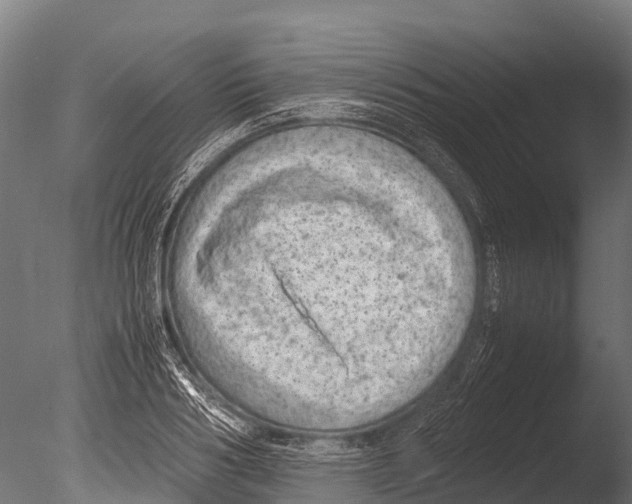 X0000085010986200704021355