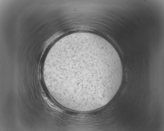 X0000085010987200704021355