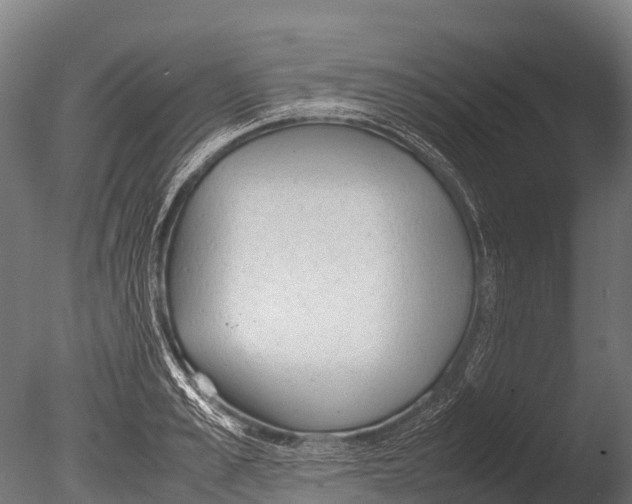 X0000085010989200704021355