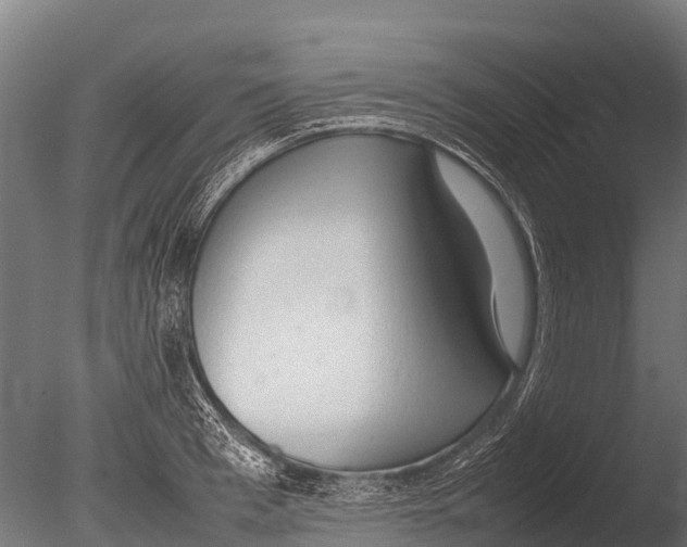 X0000085010993200704021355