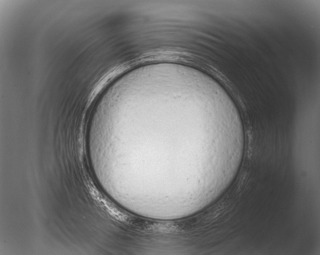 X0000085010994200704021355